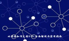 比特派如何支持BTN：全面解析与实用指南