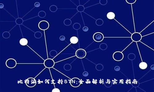 比特派如何支持BTN：全面解析与实用指南