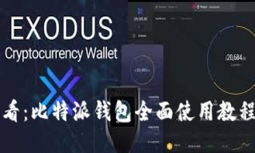 新手必看：比特派钱包全面使用教程与技巧