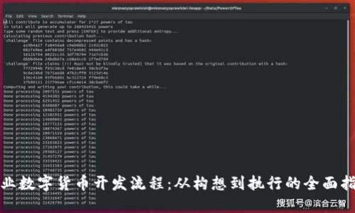 企业数字货币开发流程：从构想到执行的全面指南