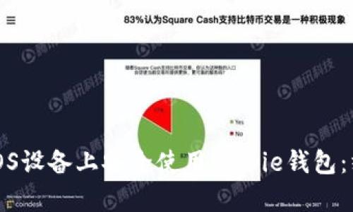 如何在iOS设备上安全使用Bitpie钱包：终极指南