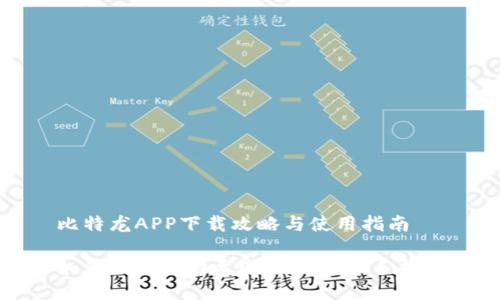 比特龙APP下载攻略与使用指南

如何下载比特龙APP，快速上手指南