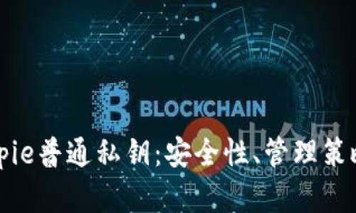 全面解读Bitpie普通私钥：安全性、管理策略与使用指南
