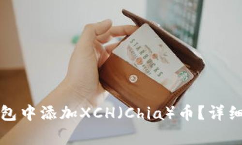如何在比特派钱包中添加XCH（Chia）币？详细指南与注意事项