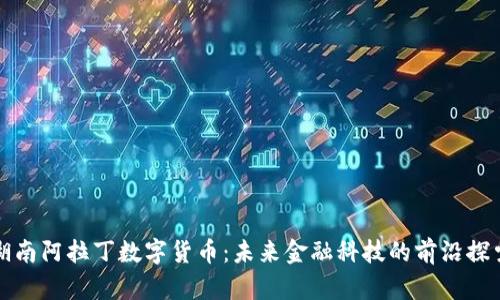 湖南阿拉丁数字货币：未来金融科技的前沿探索