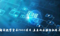深入解析数字货币POCC项目：未来的区块链机遇与